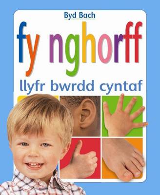 Fy Nghorff: Llyfr Bwrdd Cyntaf