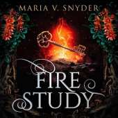 Fire Study