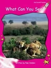 Red Rocket Readers: Emergent Non-Fiction Set A: What Can You See?