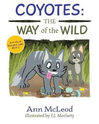 Coyotes: The Way of the Wild
