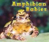 Animal Babies Pack A of 6
