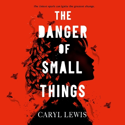 The Danger of Small Things: The YA debut from an award-winning and bestselling Welsh storyteller