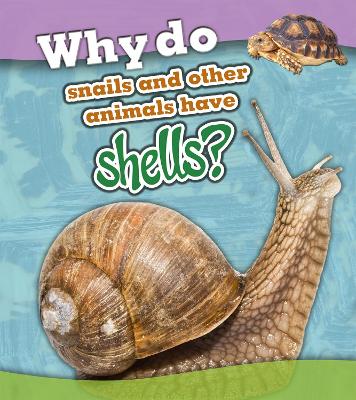 Why Do Snails and Other Animals Have Shells?
