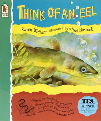 Think Of An Eel