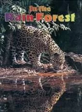 In the Rain Forest: Leopard