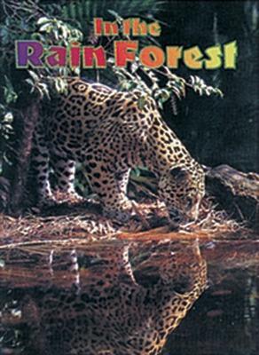 In the Rain Forest: Leopard