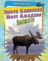 Animal Top Tens Pack B of 4
