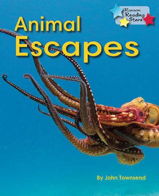 Animal Escapes (Pack 6)