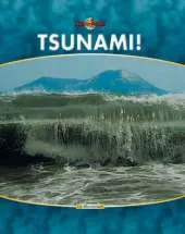 Nature's Fury: Tsunami