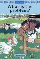 What is the Problem?
