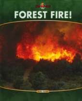 Nature's Fury: Forest Fire