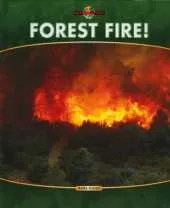 Nature's Fury: Forest Fire
