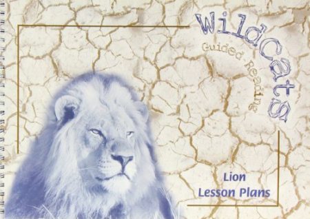 Lions Lesson Plans