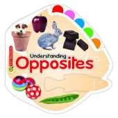 Understanding Opposites