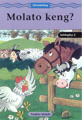 Molato Keng?