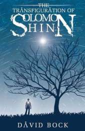Transfiguration of Solomon Shinn