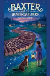 Baxter and the Beaver Builders