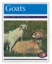 Goats