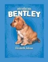 Introducing Bentley