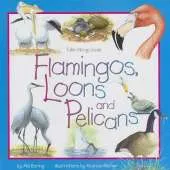 Flamingos, Loons & Pelicans
