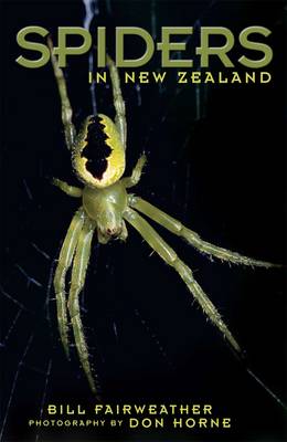 Spiders in New Zealand