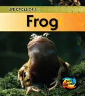 Life Cycle of a Frog