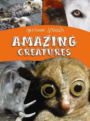 Amazing Creatures