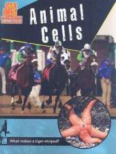 Animal Cells