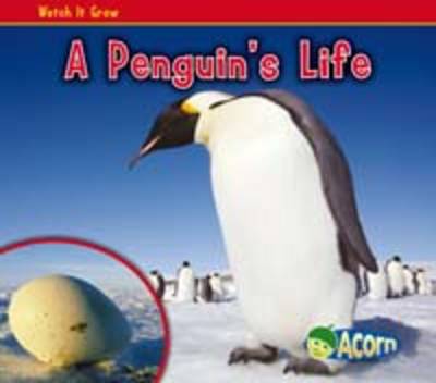 A Penguin's Life