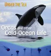 Orcas and Other Cold-ocean Life