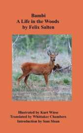 Bambi A Life in the Woods