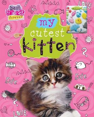 My Cutest Kitten