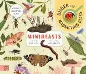Minibeasts: Under the Magnifying Glass
