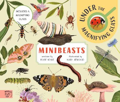 Minibeasts: Under the Magnifying Glass