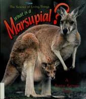 What Is A Marsupial