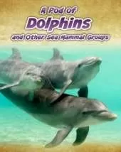 A Pod of Dolphins: and Other Sea Mammal Groups