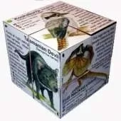 Australian Animals Zoobookoo