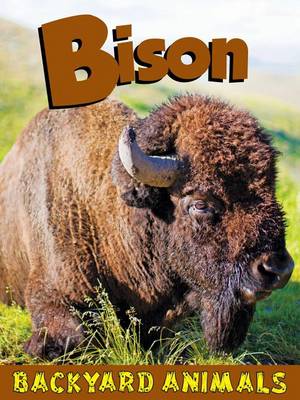 Bison