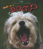 What Is a Dog