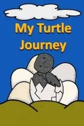 My Turtle Journey