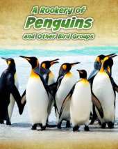 A Rookery of Penguins: and Other Bird Groups