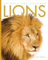 Animals Are Amazing: Lions