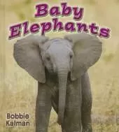Baby Elephants