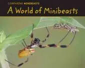 A World of Minibeasts