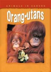 Animals In Danger: Orang-utans