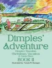 Dimples' Adventure: Dimples' Hawaiian Christmas Vacation ft. Santa Claus