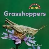 Grasshoppers