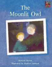 Moonlit Owl