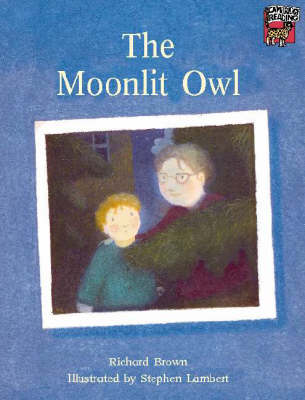 Moonlit Owl