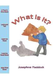 What Is It?